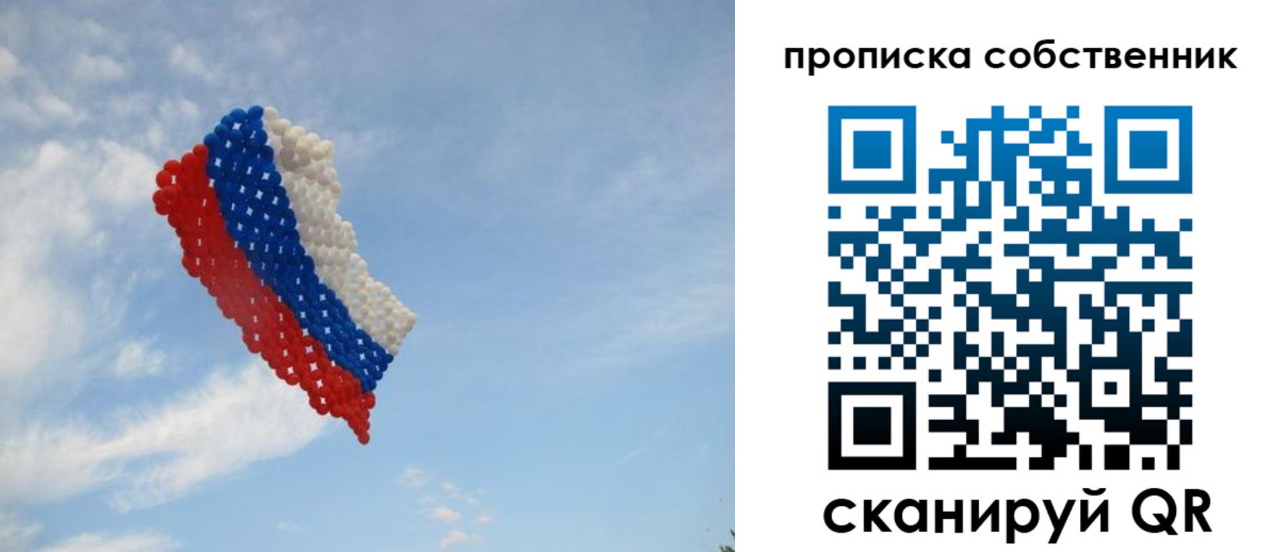 временная регистрация поиск в Старой Купавне